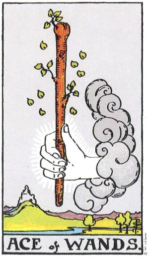 Ace of Wands (权杖一)