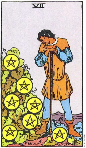 Seven of Pentacles (星币七)